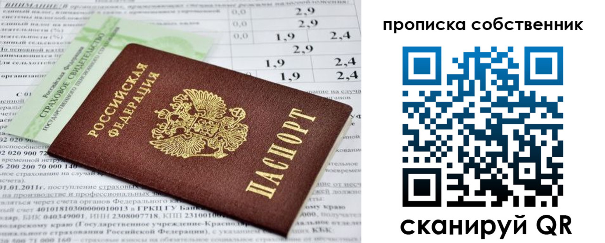 прописка 2025 в Владимире
